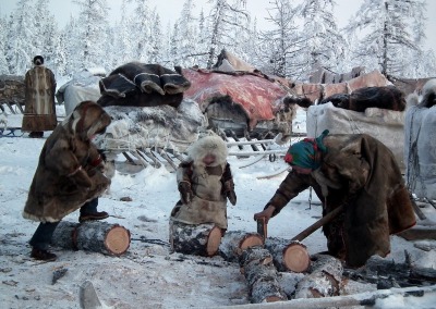 Nomadic Nenets reindeer herders in the Yamal-Nenets Autonomous Region