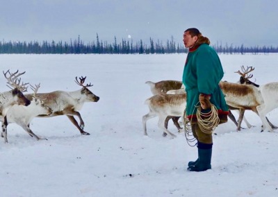 Yamal Peninsula: most accessible Nenets