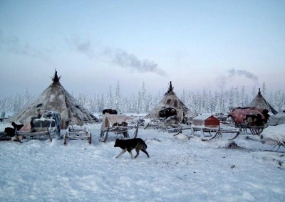 Chums of nomadic Nenets reindeer herders