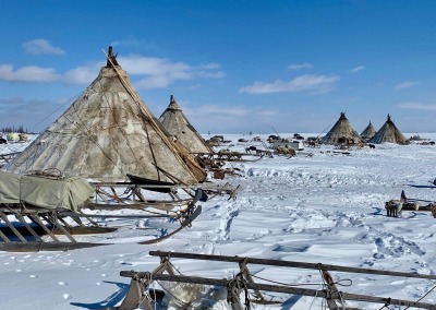 Chums (reindeer-fur teepees) of the Yar-Sale Nenets