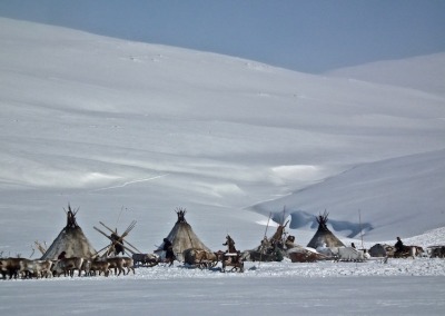 Encampment of nomadic Nenets reindeer herders high amid the peaks of the Polar Ural Mountains