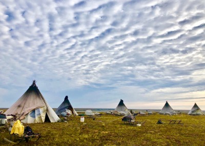 Chums (reindeer-fur teepees) on the Yamal Peninsula in summer