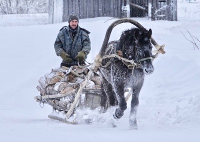 Transporting firewood by horse sledge, Leshukonskoye District