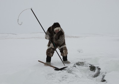 Nomadic Dolgan reindeer herder using a spear to break up ice on a lake, Anabar tundra, Arctic Yakutia