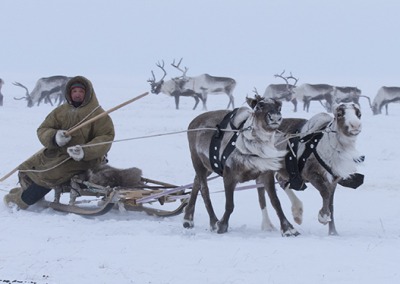 Nomadic Dolgan reindeer herder, Anabar tundra, Arctic Yakutia