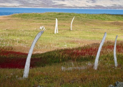 Ancient Eskimo sacred site made of whale jawbones, Yttygran Island, Bering Sea, Chukotka