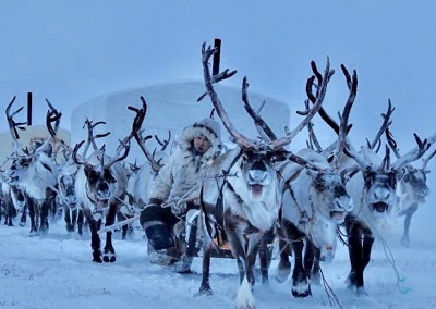 Nomadic Dolgan reindeer herders migrating in the Anabar tundra, Arctic Yakutia