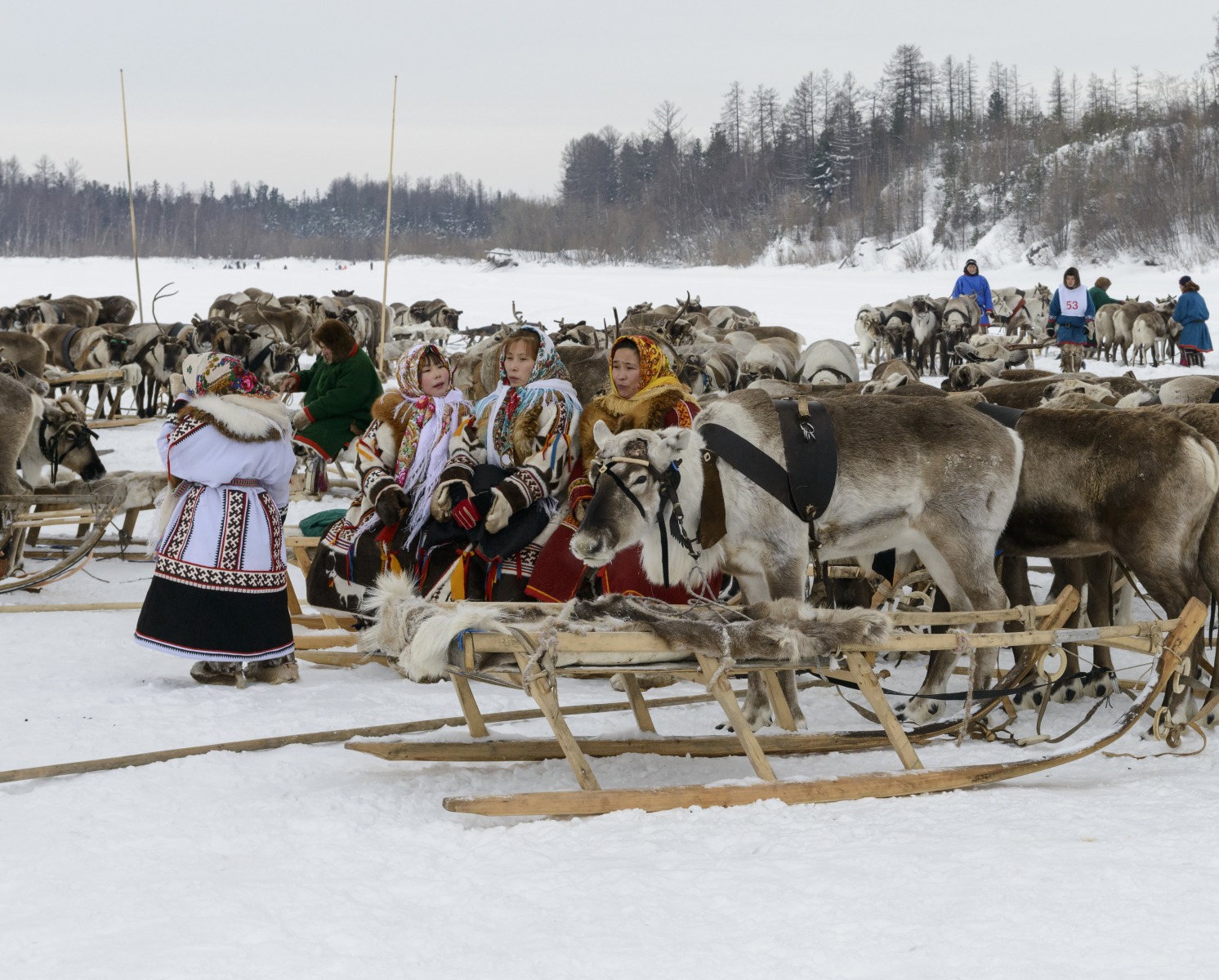 Nenets reindeer herders' festival in the Yamal-Nenets Autonomous Region